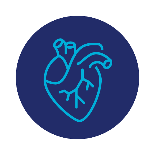 Structural Cardiology Icon